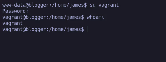 vagrant user.png